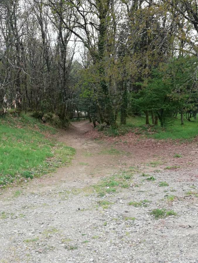 Apartamento Sigueeiro Camino Ingles Сіґуейро Екстер'єр фото