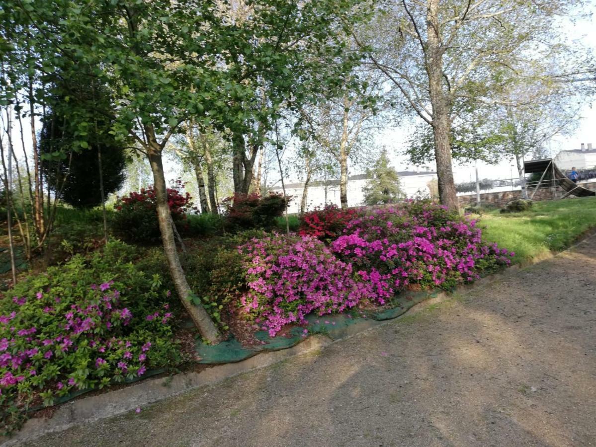 Apartamento Sigueeiro Camino Ingles Сіґуейро Екстер'єр фото