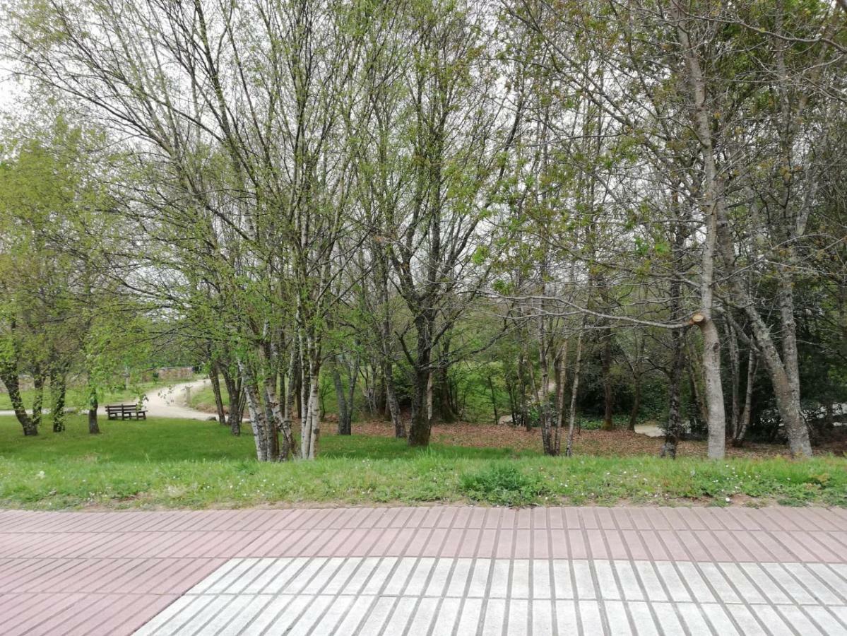 Apartamento Sigueeiro Camino Ingles Сіґуейро Екстер'єр фото