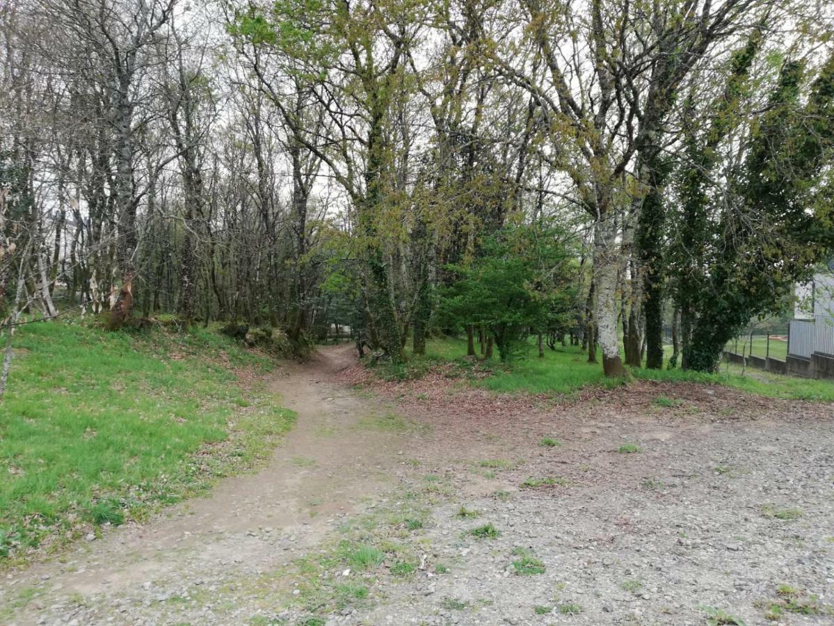 Apartamento Sigueeiro Camino Ingles Сіґуейро Екстер'єр фото